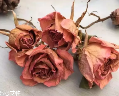 2018������ɿ�õ��ɫױ�ݽ̳�